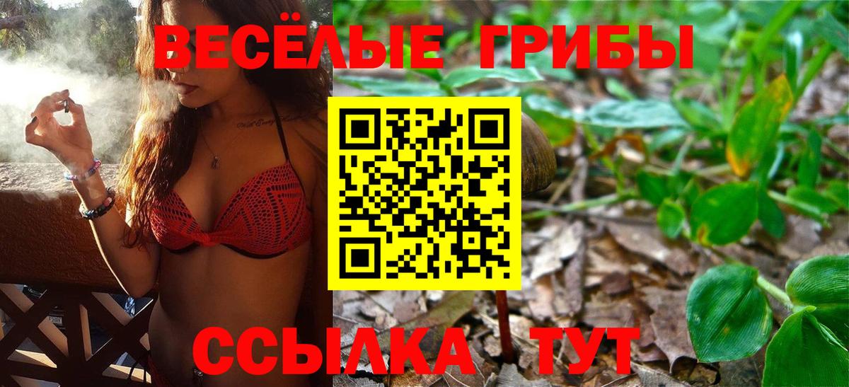Ипатово  Псилоцибиновые грибы Psilocybe  Вход с VPN 
